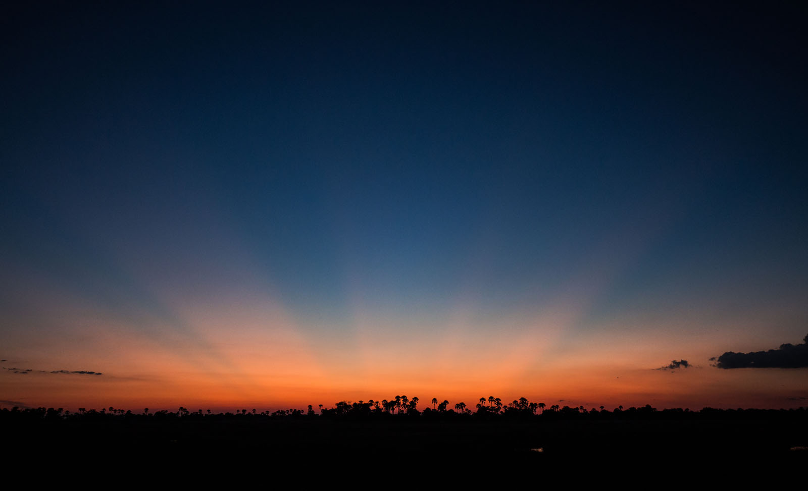 Okavango Sunset