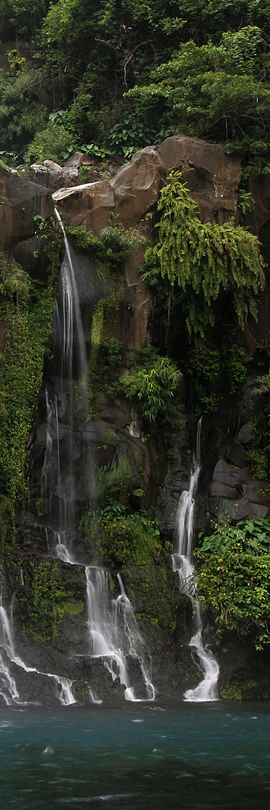 Bassin des Aigrettes