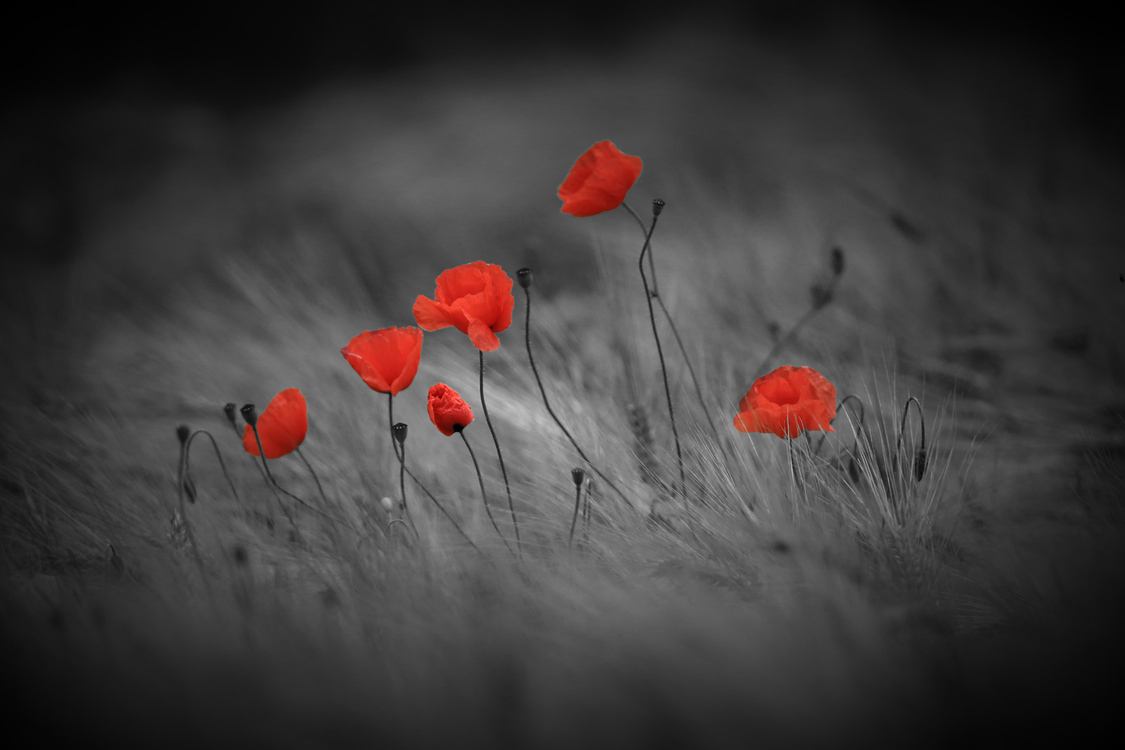To the Mohn and back