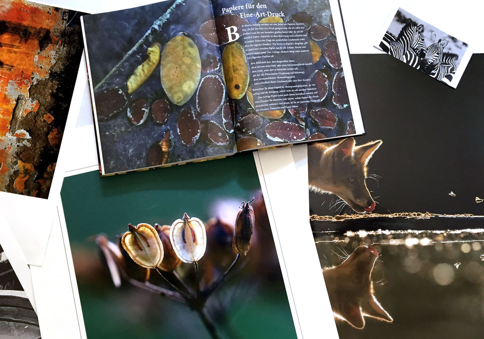 FineArt-Prints auf Metallicpapier und matten Hahnemühle-Papieren