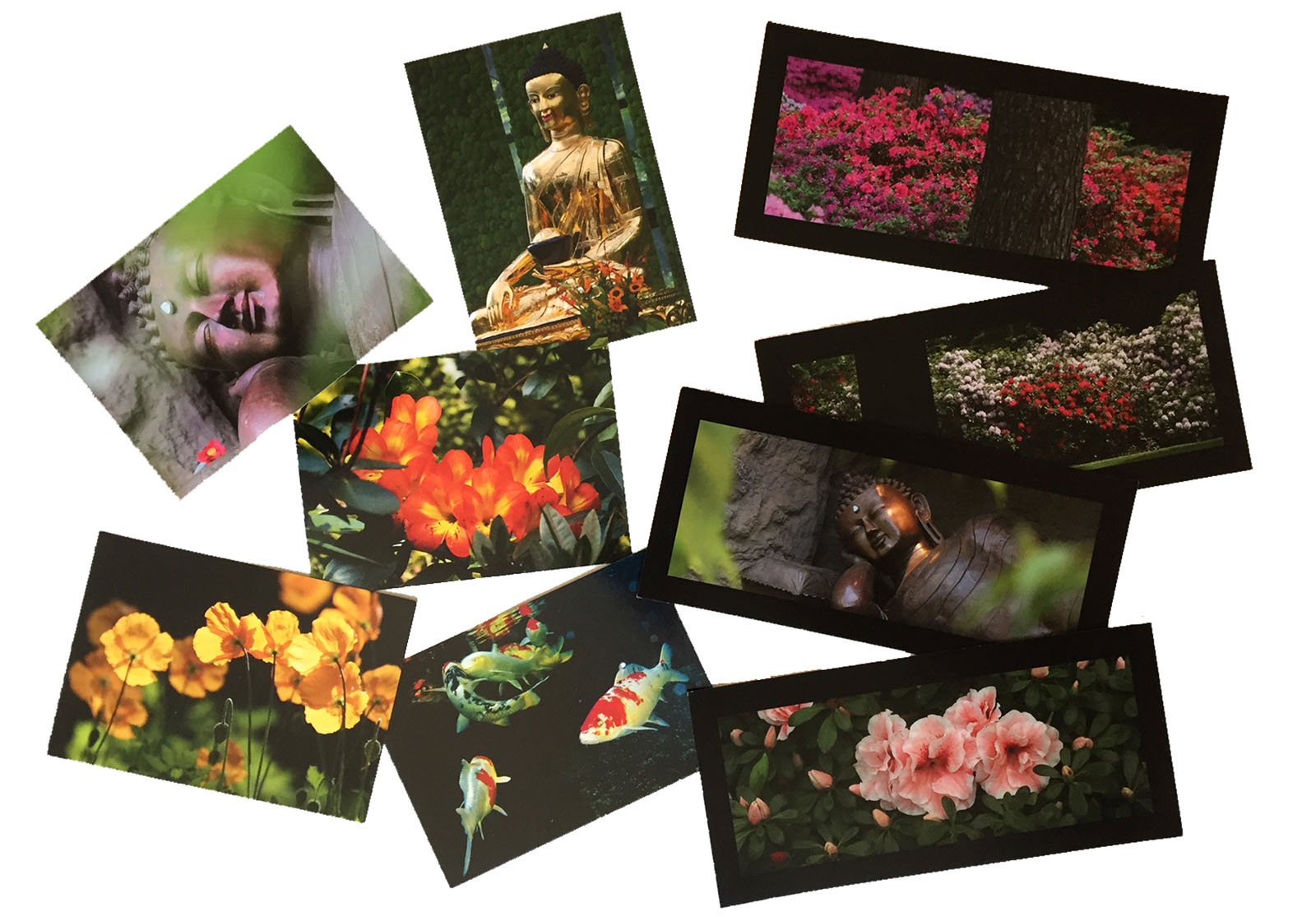 Fotografie für Postkarten