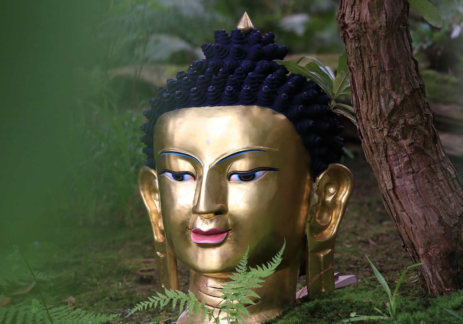 Fotografie für Werbung, Flyer, Internet