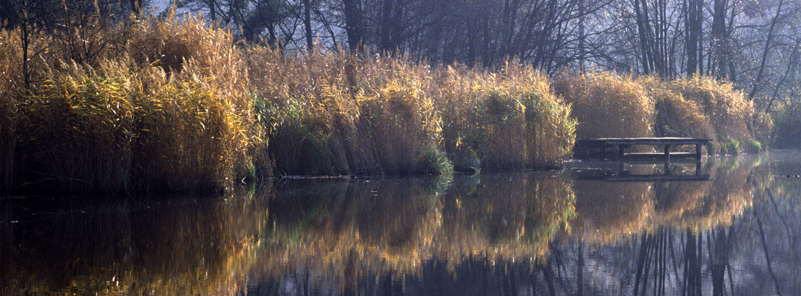 Idylle am See