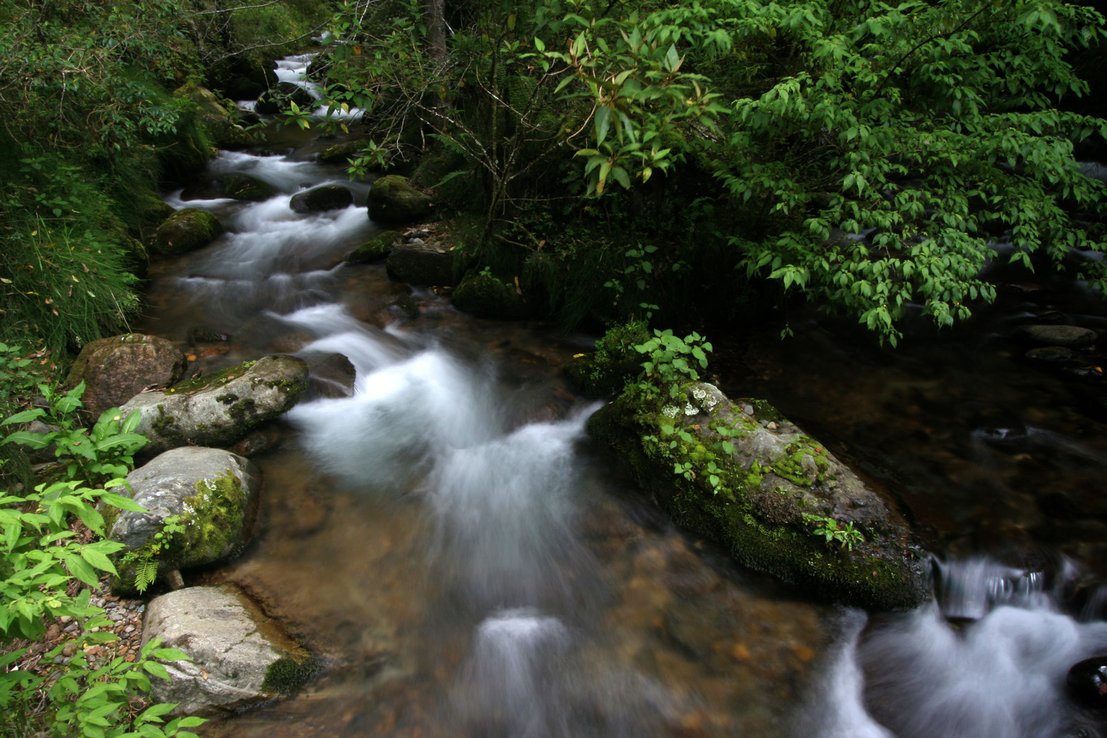 Rio Savegre