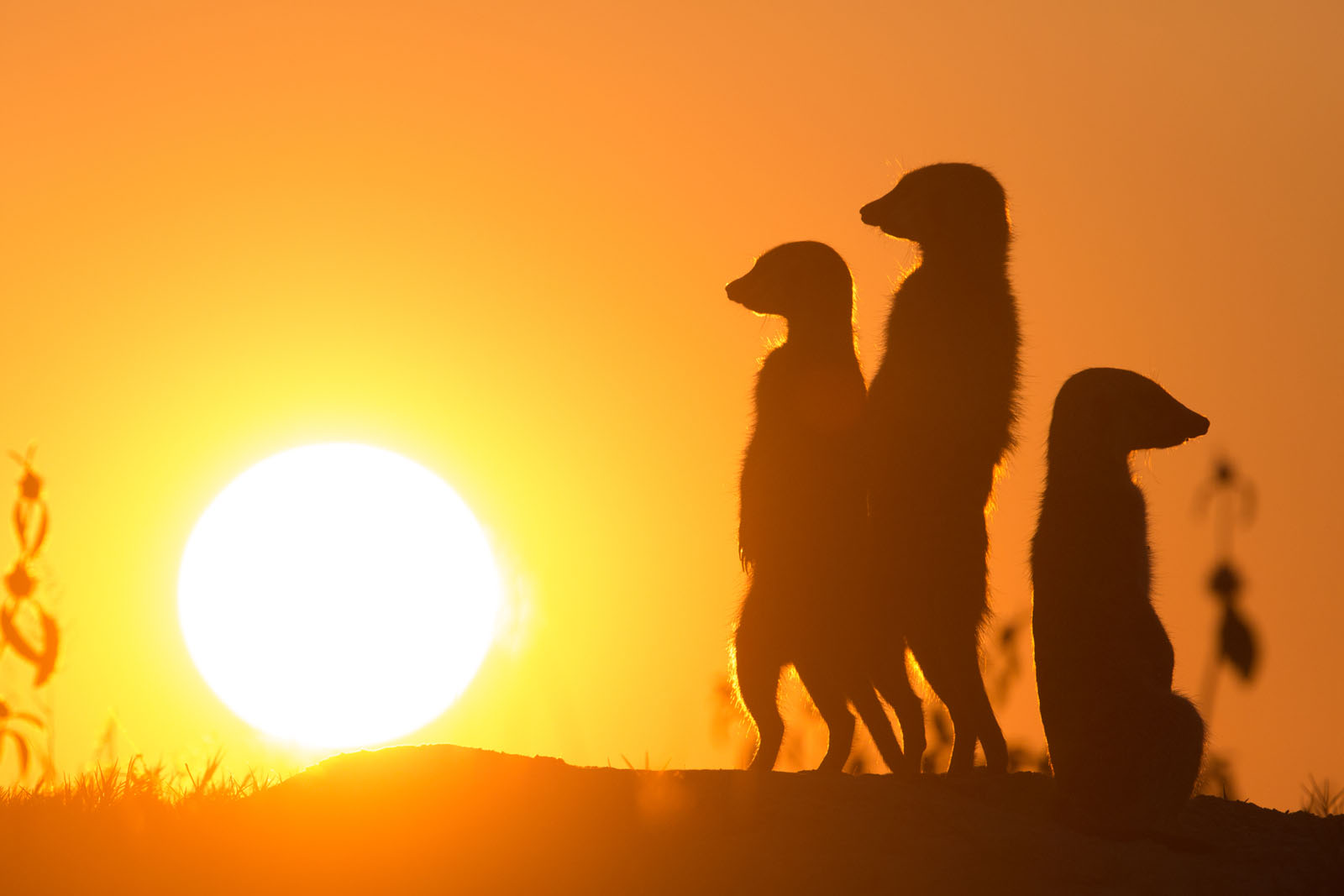 Sonneneruption - uns doch egal !